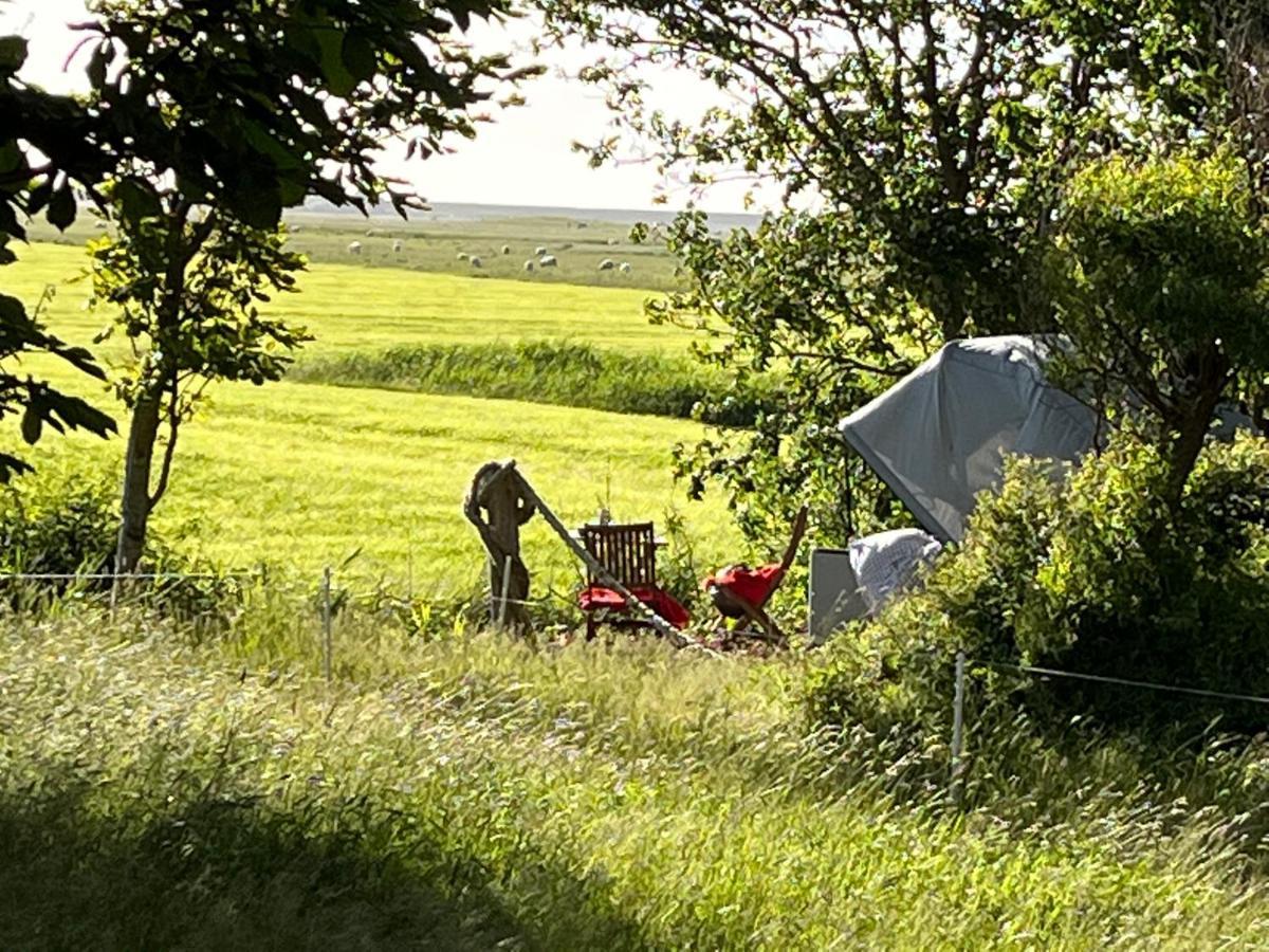 Hof Steinhuetten Schlafstrandkorb Westerhever Ngoại thất bức ảnh